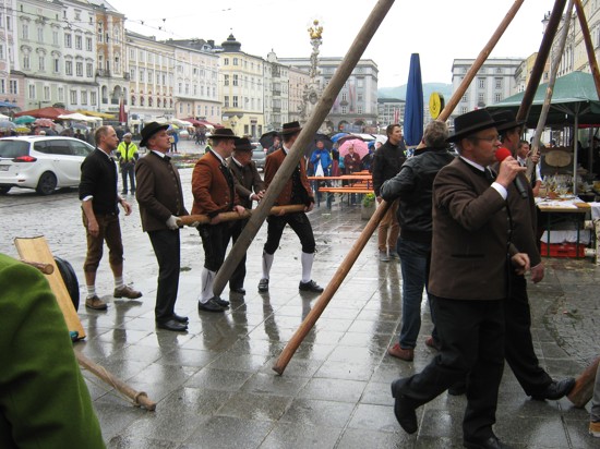 Linzer Maibaum 33.JPG